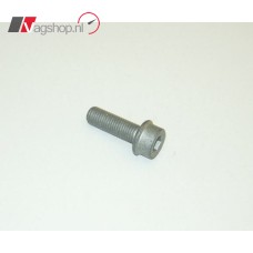 Inbusbout VW/Audi/Skoda M10X1,25X30
